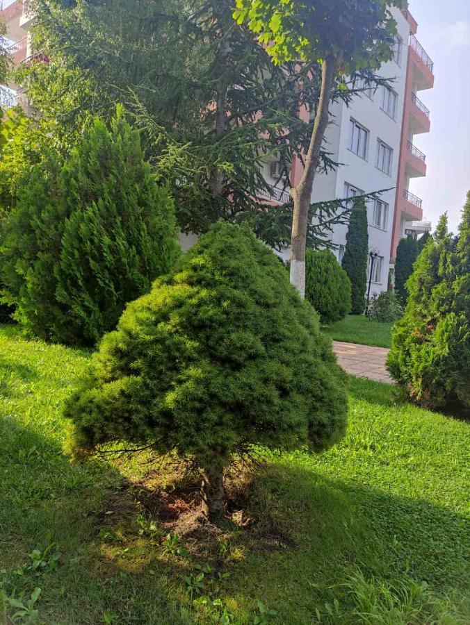 Ravda Sea View Daire Dış mekan fotoğraf